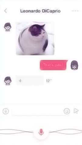 在线网站攻击软件程序维护界面